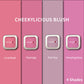 Shop Long Lasting Blush Makeup Powder Pink Pop - Lenphor