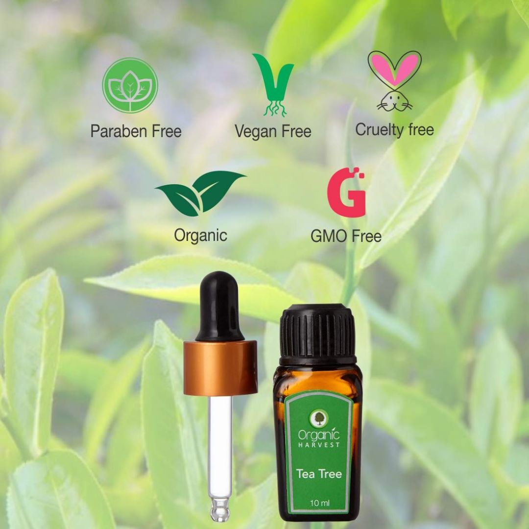Organic Harvest Combo of Tea Tree & Lemon Essential Oil, For Face & Hair Care, Pure & Undiluted Therapeutic Grade Oil