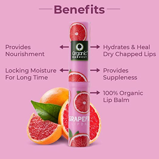 Organic Harvest Grapefruit Flavour Lip Balm Enriched With Vitamin E & Benefits of Mango Butter, Lip Care for Dry & Chapped Lips, 100% Organic, Paraben & Sulphate Free For Girls & Women - 3 gm