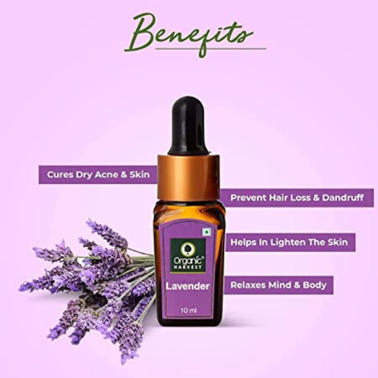 Organic Harvest Lavender Essential Oil, Cures Dry Acne, Hair Growth, Face, Hair Care, Pure & Undiluted Therapeutic Grade Oil, Excellent for Aromatherapy